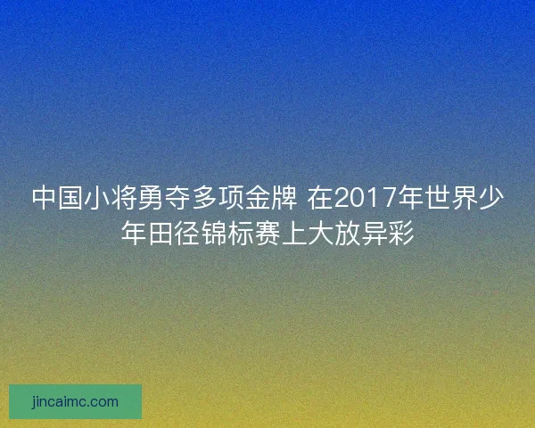 中国小将勇夺多项金牌 在2017年世界少年田径锦标赛上大放异彩